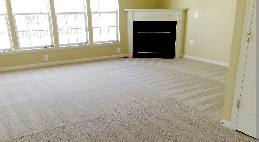 Move out carpet cleaning
