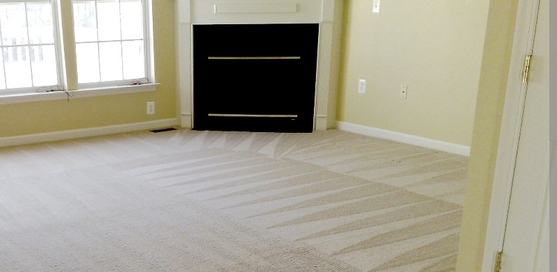 Move in carpet cleaning